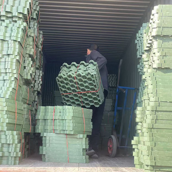 Grass Paver for Garden Outdoor Landscape Park Road Parking Lot Walkway