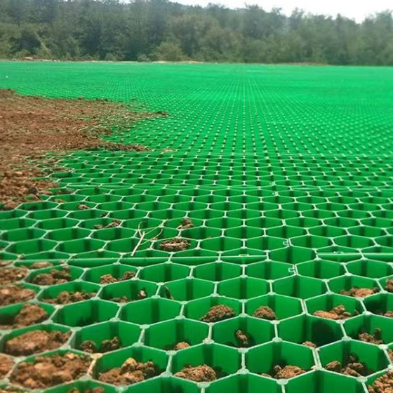 Grass Paver for Garden Outdoor Landscape Park Road Parking Lot Walkway