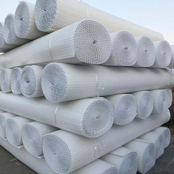 Drainage Board Resistant to Root Penetration for Garden Dam Park Waterproofing and Drainage Tunnel Application