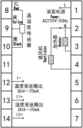 图片11
