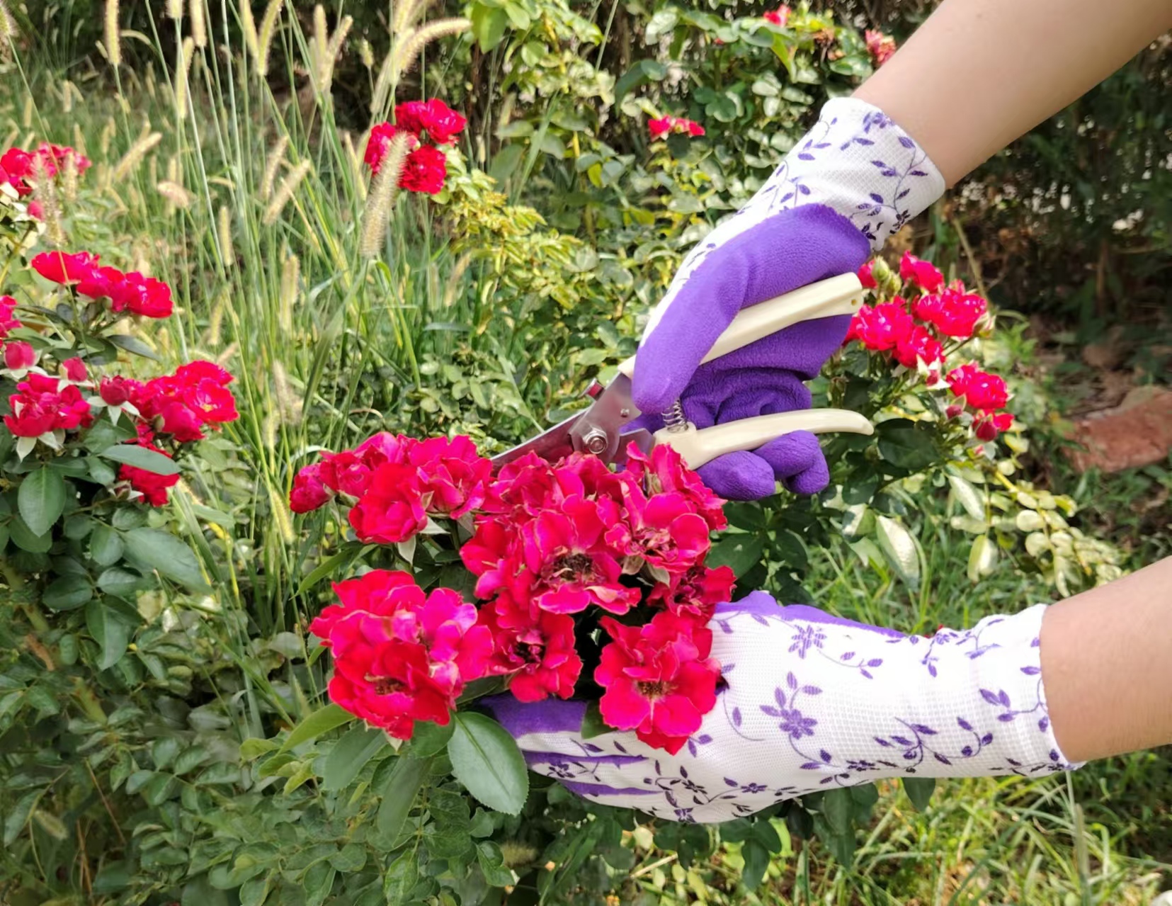 G13-LTGC002 White polyester purple latex garden gloves ( purple vines pattern)