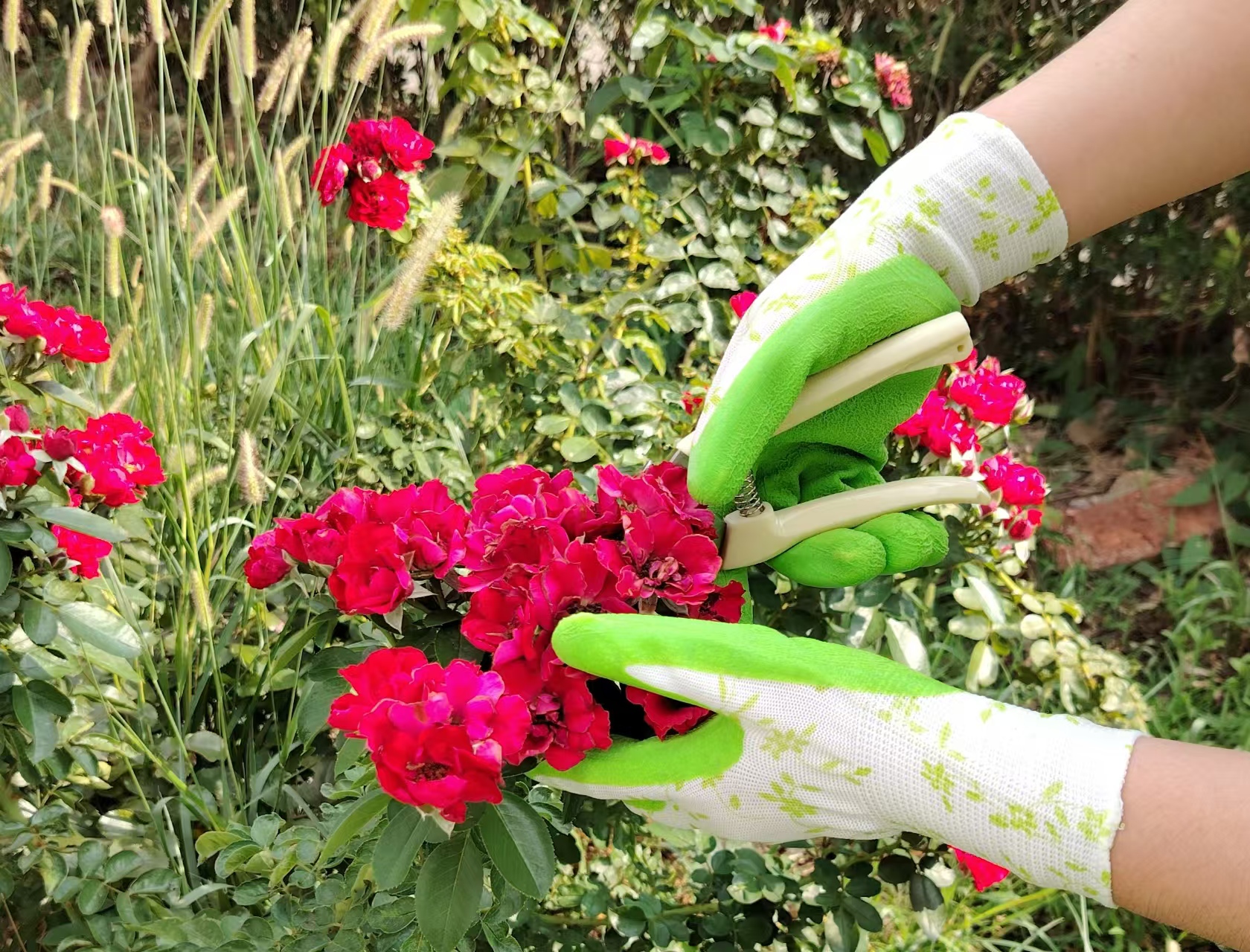 G13-LTGC001 White polyester green latex garden gloves ( green vines pattern)