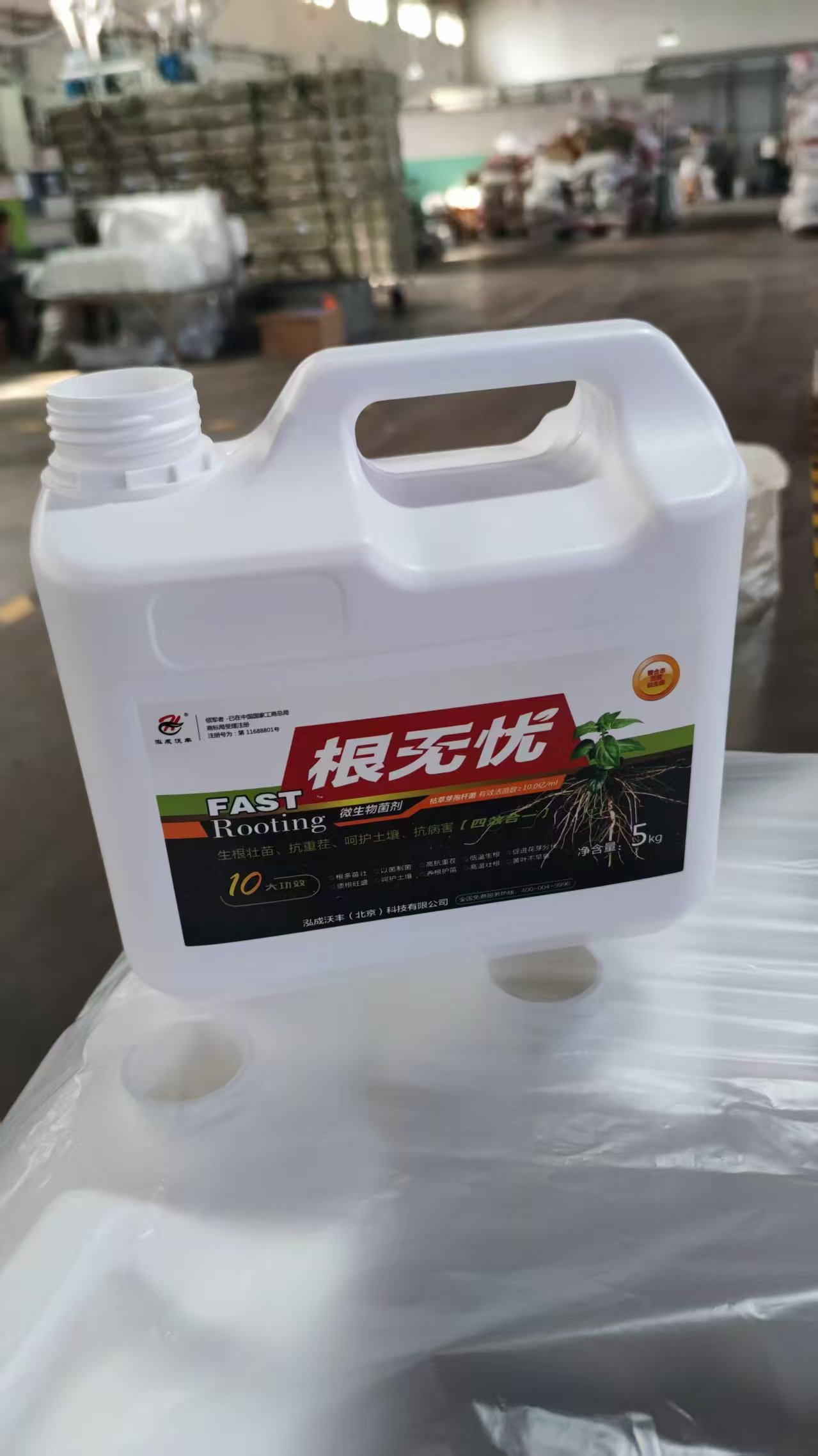 根无忧 生根壮根