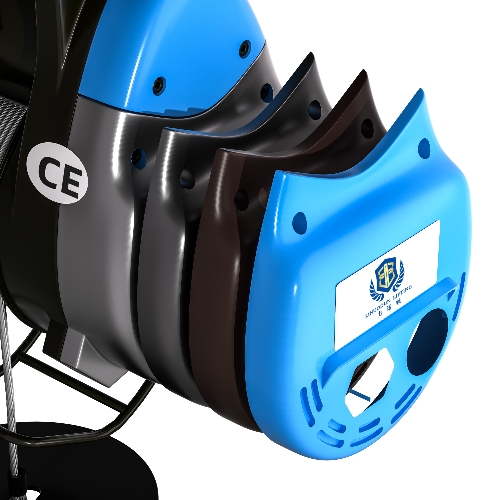 Xiaogangdang electric hoist