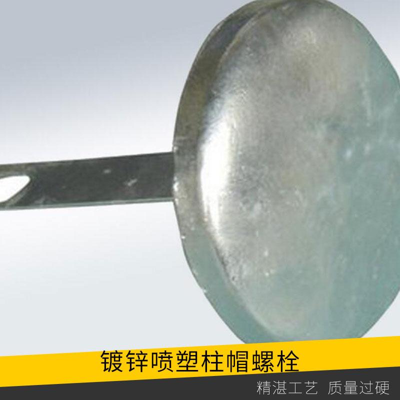镀锌/喷塑柱帽螺栓高速公路护栏热镀锌螺栓喷塑螺帽柱帽厂家直销