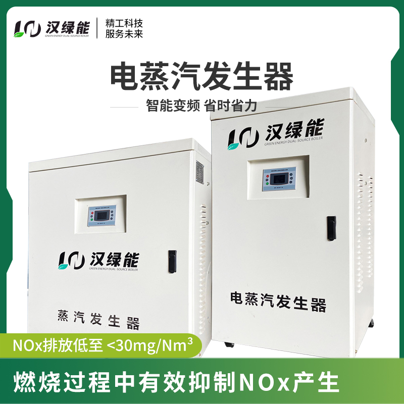 电蒸汽发生器