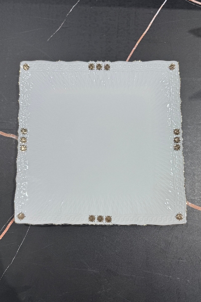 Plate