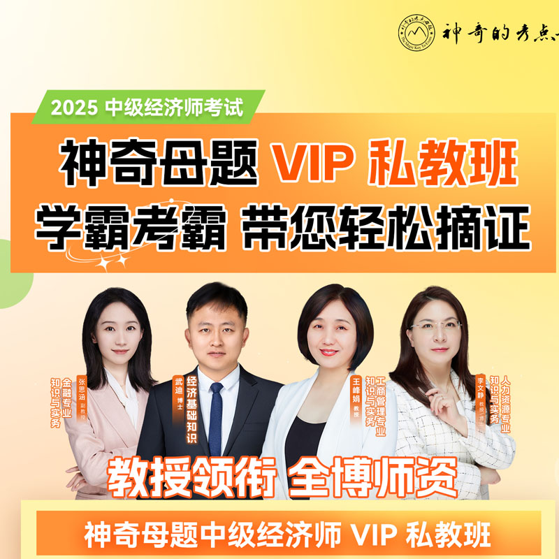 2025年中级经济师考试VIP私教班