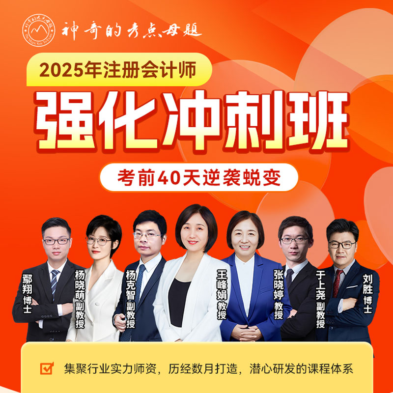 2025年注册会计师强化冲刺班