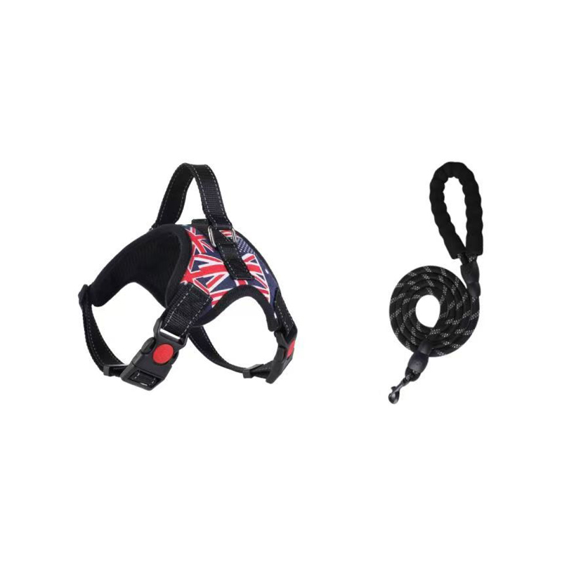Dog Leash and Harness Set