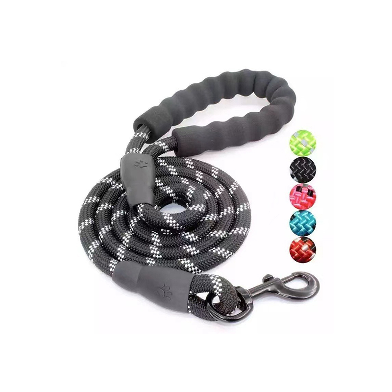 Multi-Color Nylon Dog Leash