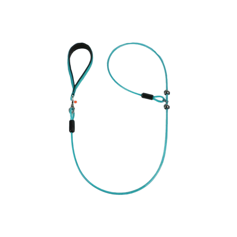 All-in-One Dog Leash