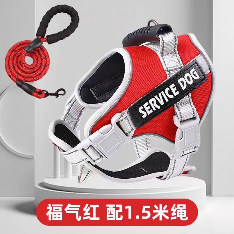 No-Pull Harness and Leash Set