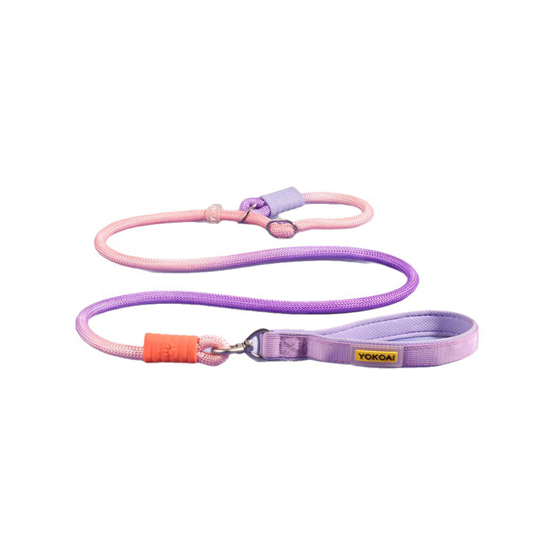 Anti-Pull and Tangle-Free Dog Leash