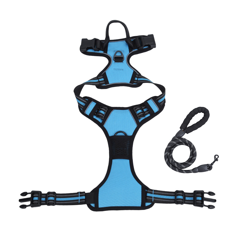 Dog Leash and Harness Set