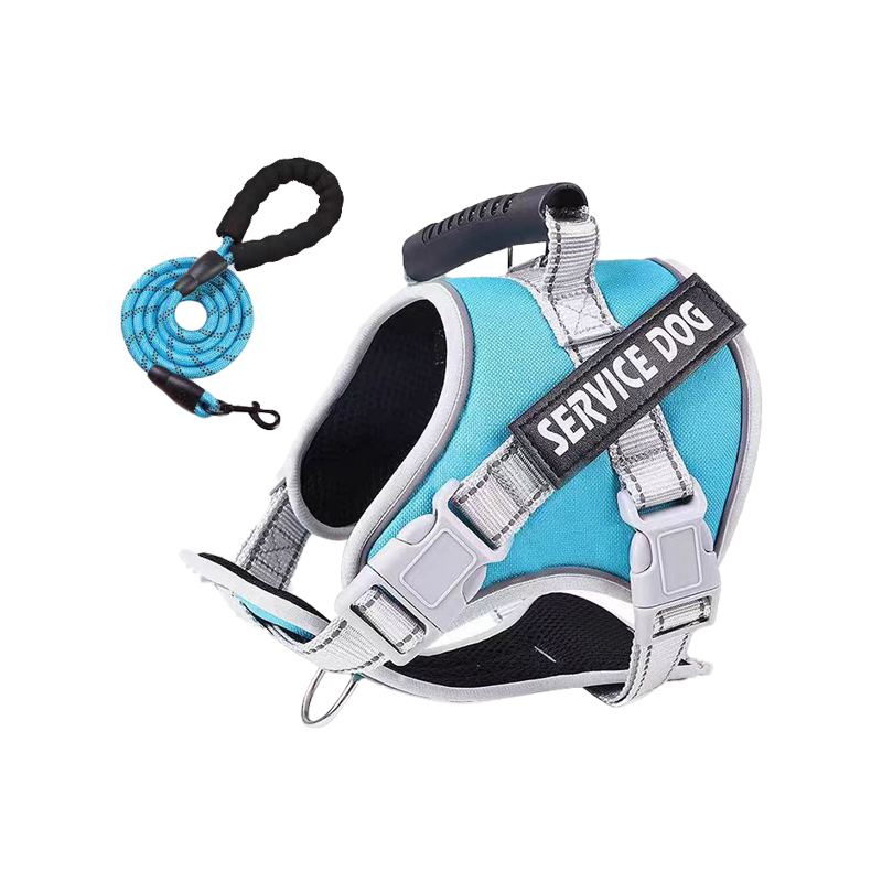 No-Pull Harness and Leash Set