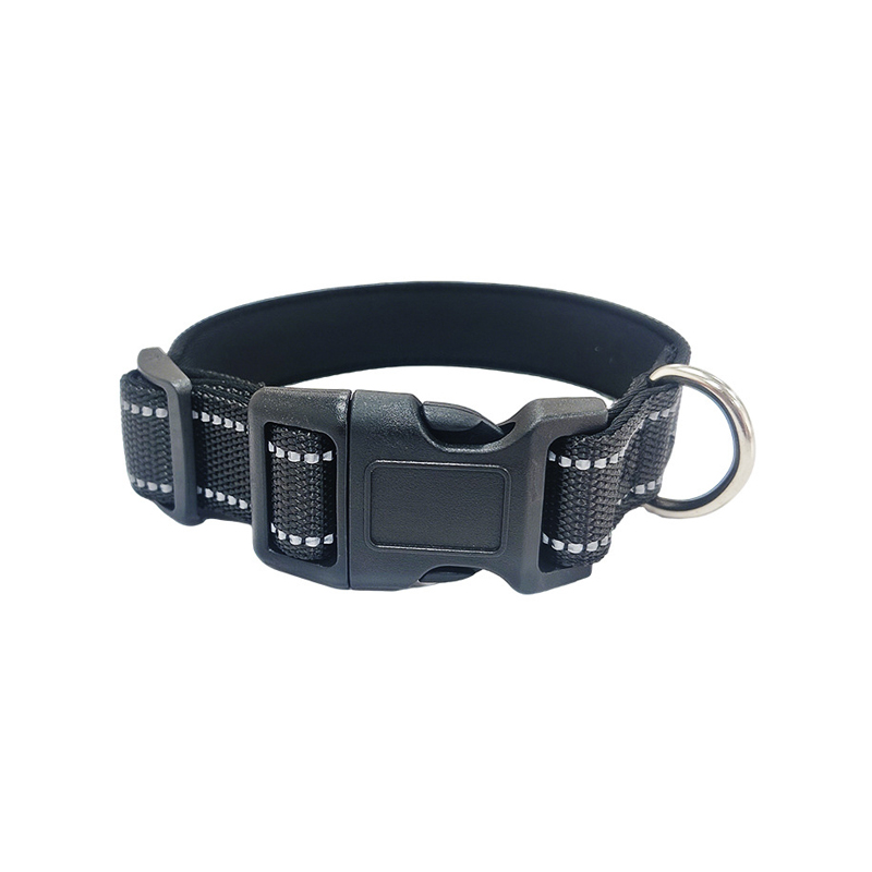 Glow-in-the-Dark Dog Collar
