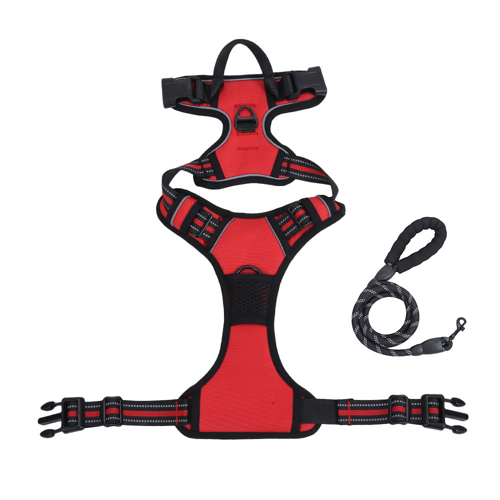 Dog Leash and Harness Set