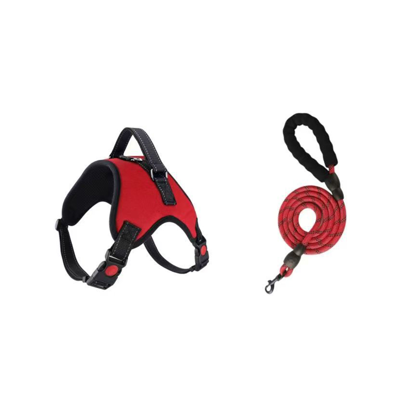 Dog Leash and Harness Set