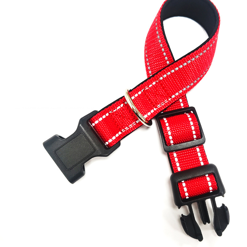 Glow-in-the-Dark Dog Collar