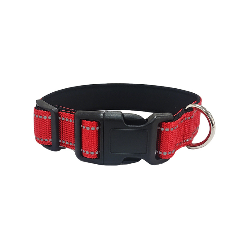Glow-in-the-Dark Dog Collar