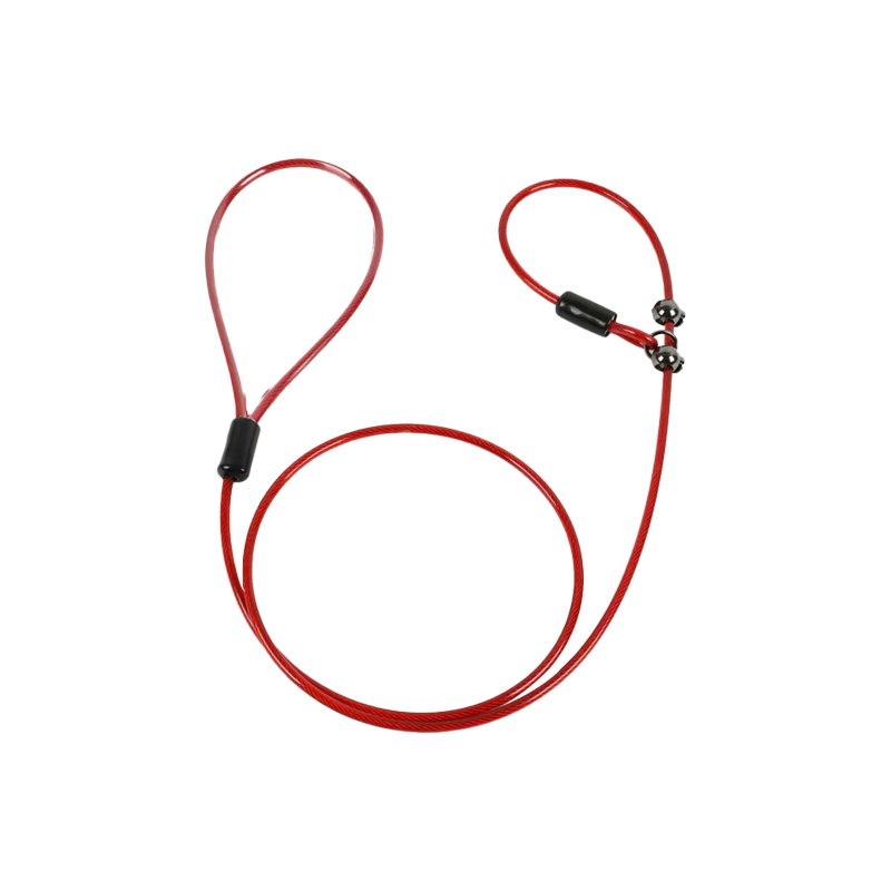 All-in-One Dog Leash