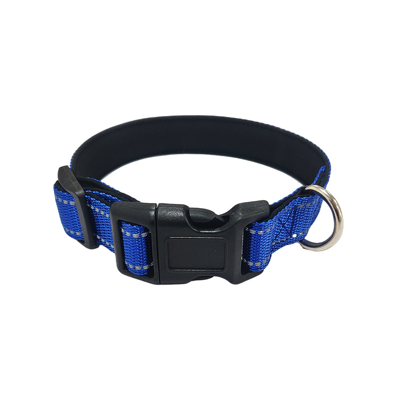 Glow-in-the-Dark Dog Collar