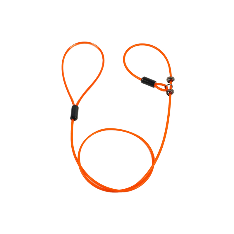 All-in-One Dog Leash