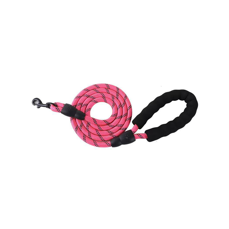 Multi-Color Nylon Dog Leash