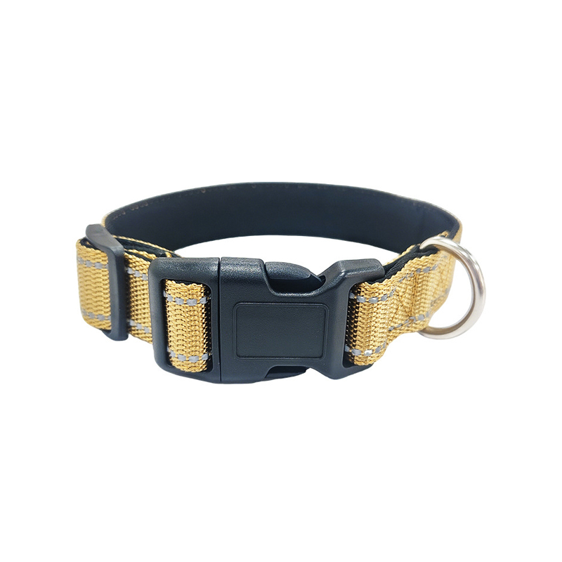 Glow-in-the-Dark Dog Collar