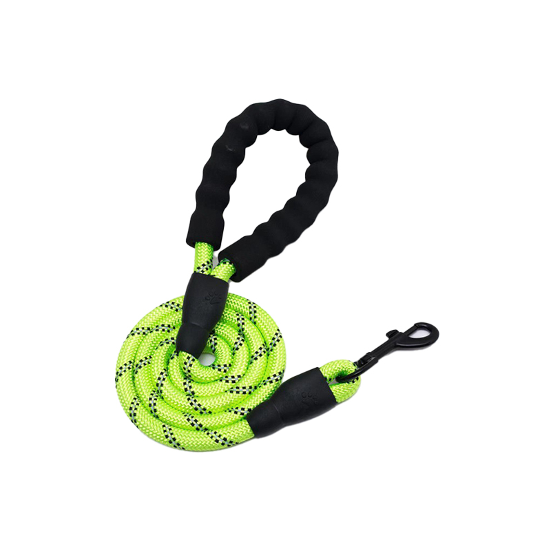 Multi-Color Nylon Dog Leash