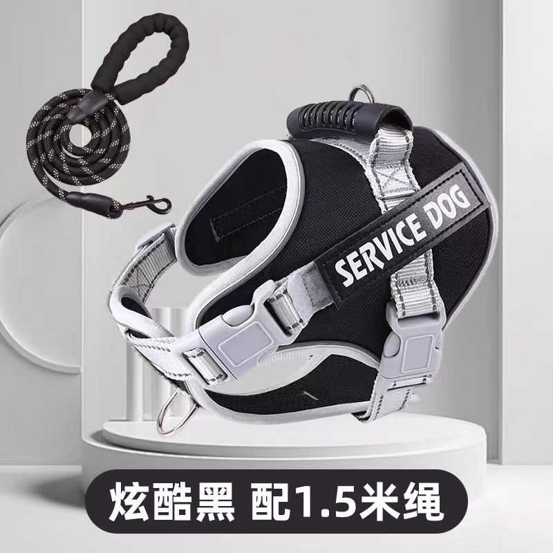 No-Pull Harness and Leash Set