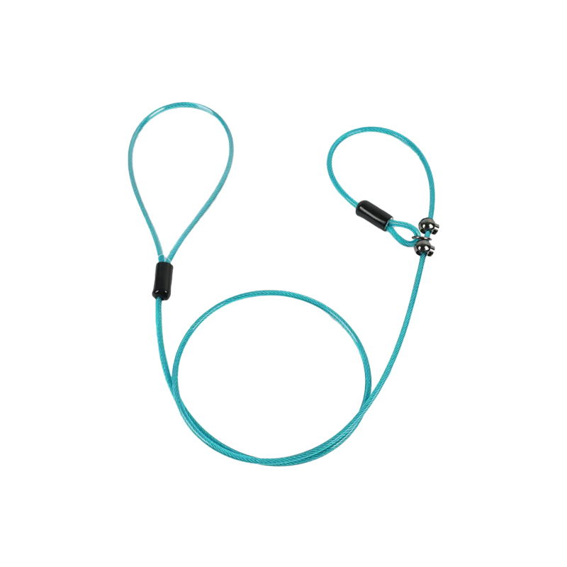 All-in-One Dog Leash