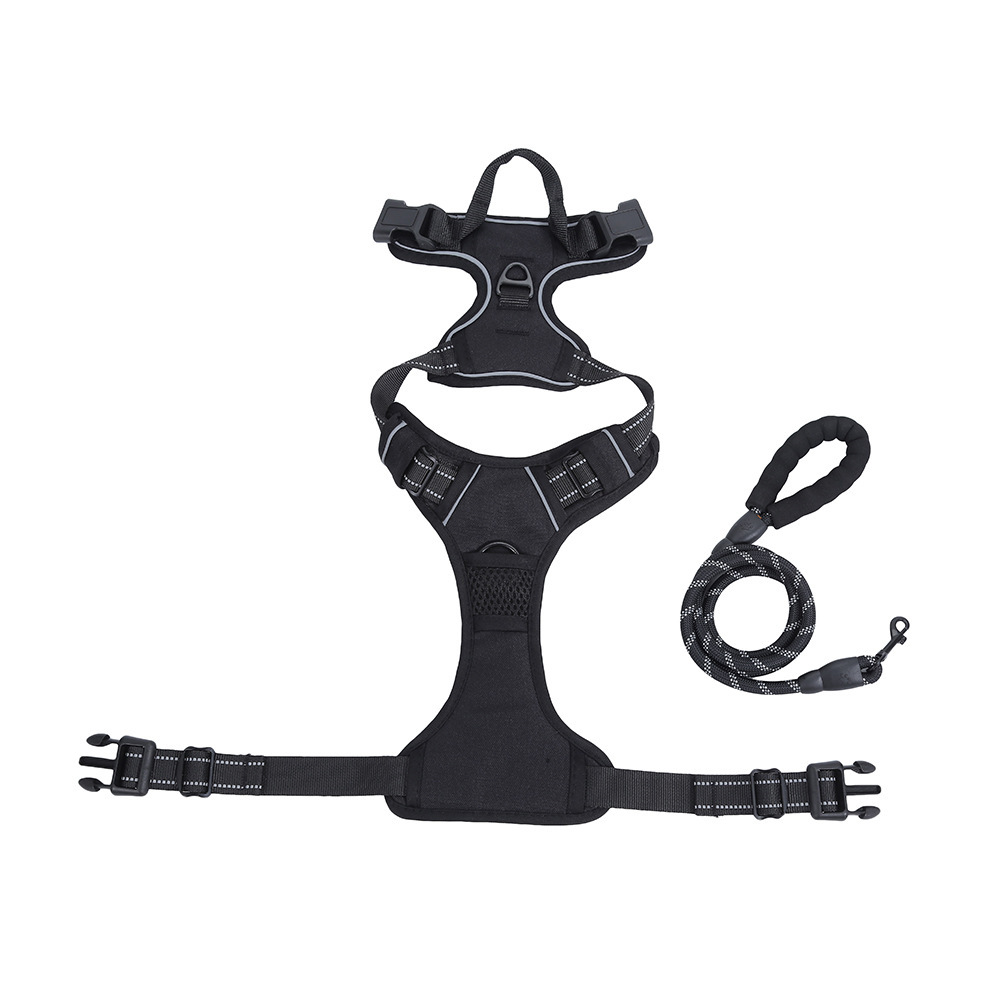 Dog Leash and Harness Set