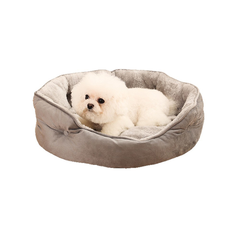 dog and cat bed