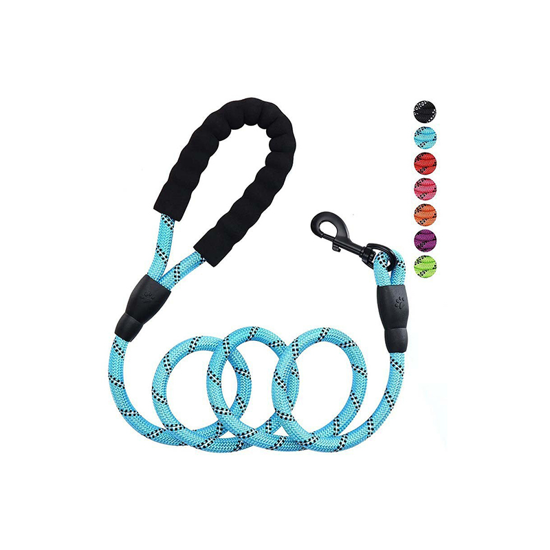 Multi-Color Nylon Dog Leash