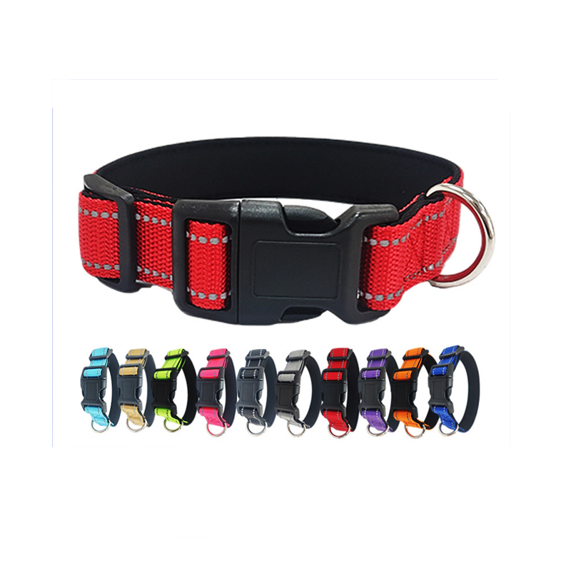 Glow-in-the-Dark Dog Collar