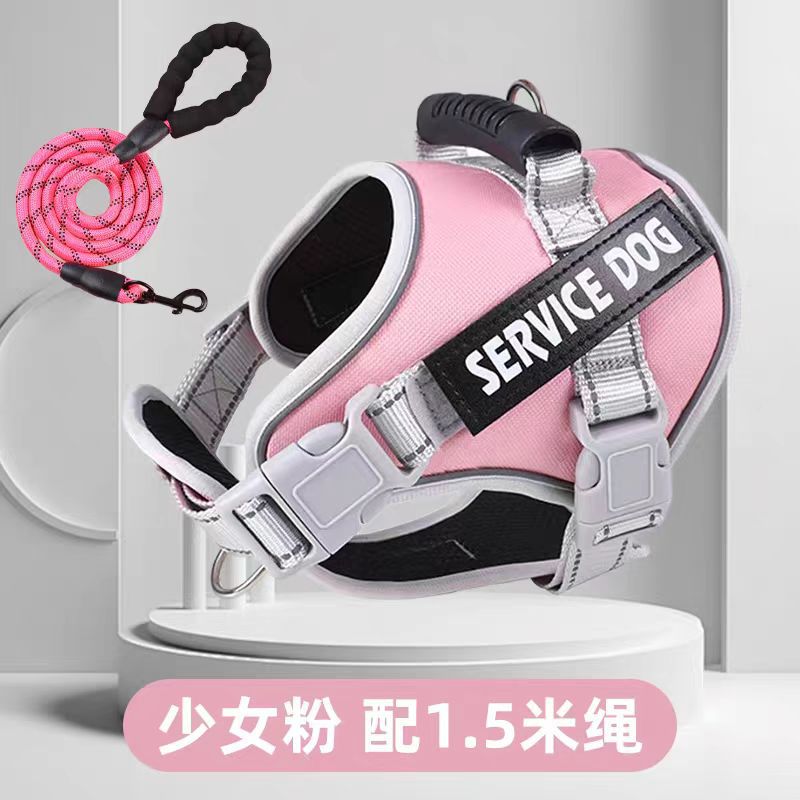 No-Pull Harness and Leash Set