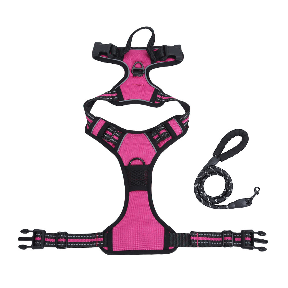 Dog Leash and Harness Set