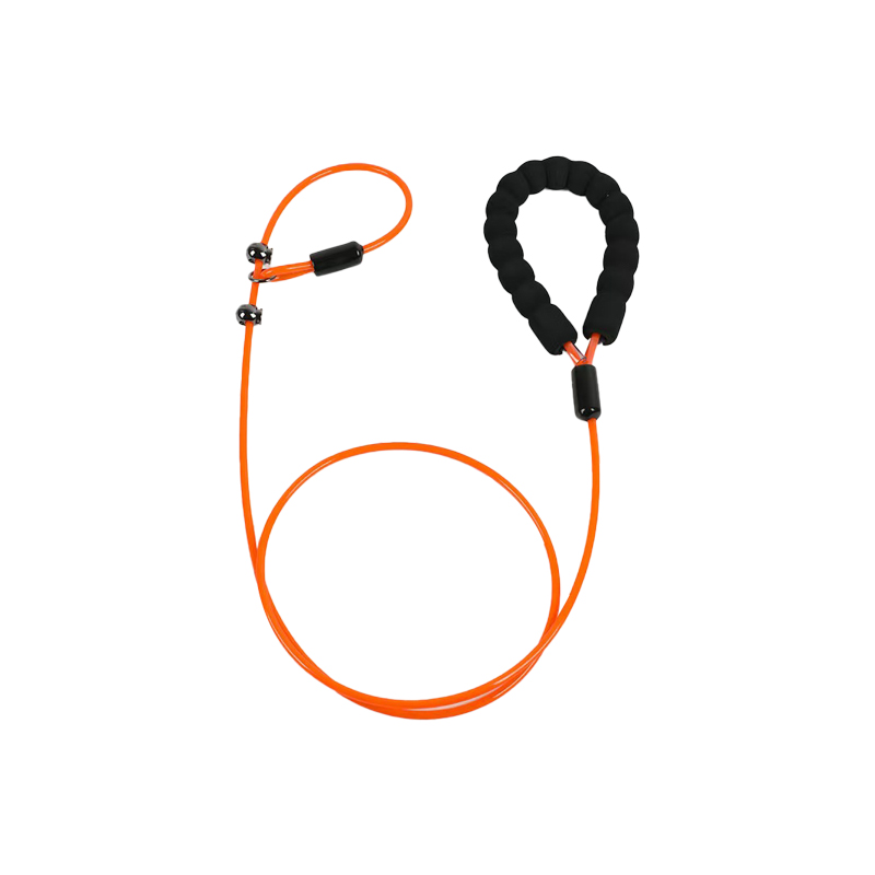 All-in-One Dog Leash