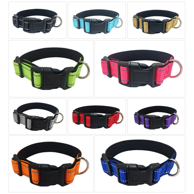 Glow-in-the-Dark Dog Collar