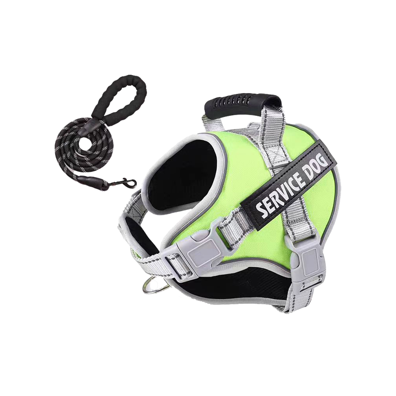 No-Pull Harness and Leash Set