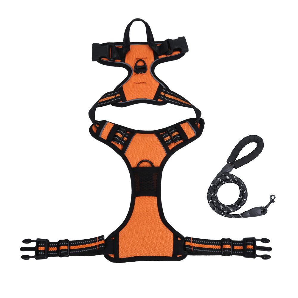 Dog Leash and Harness Set
