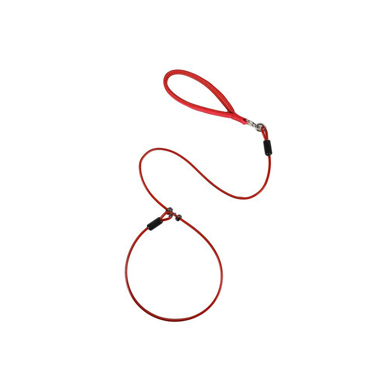 All-in-One Dog Leash
