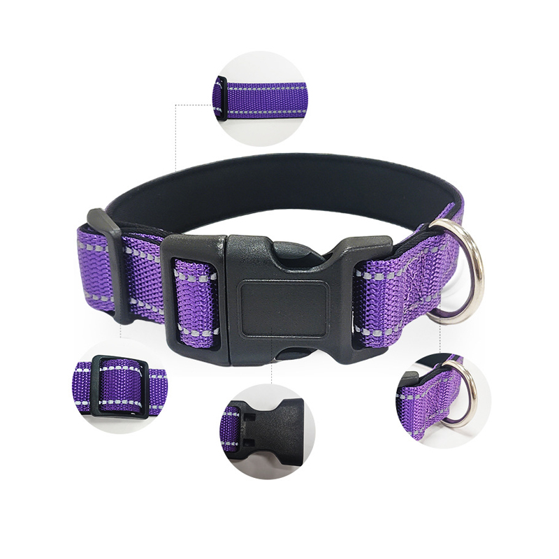 Glow-in-the-Dark Dog Collar
