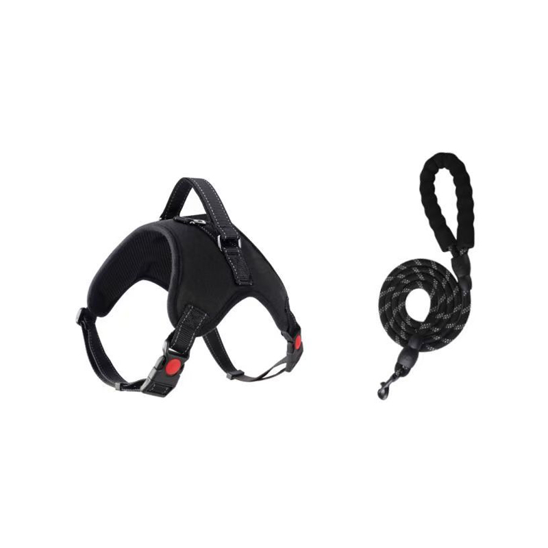 Dog Leash and Harness Set