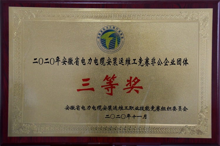 电力电缆安装运维工竞赛三等奖01