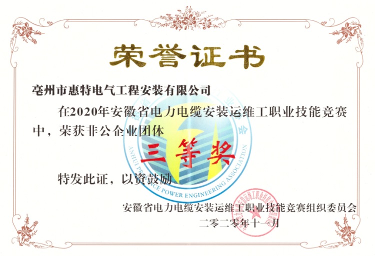 2020电力电缆非公企业三等奖