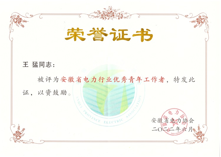 青年工作者-王猛