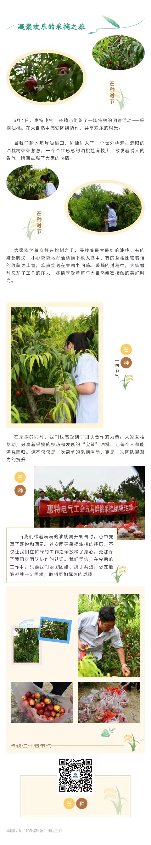 6月4日，惠特电气工会精心组织了一场特殊的团建活动-采摘油桃。在大自然中感受团结协作、共享欢乐的时光。